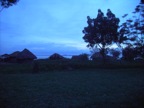 PICT0782.JPG