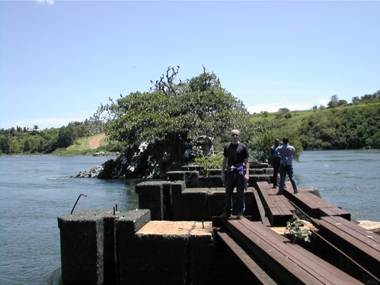 Loading Image