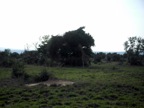 PICT0604.JPG