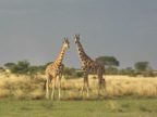 PICT0608.JPG