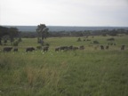 PICT0625.JPG