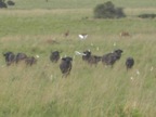 DSCN0820