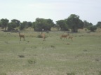 PICT0633.JPG
