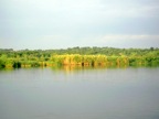 PICT0645.JPG