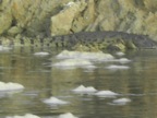 PICT0651.JPG