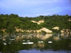 PICT0654.JPG